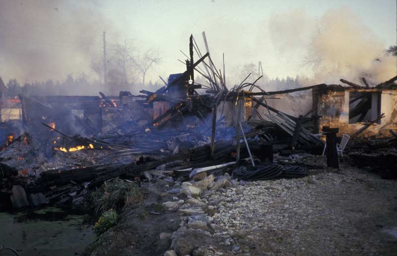 192.jpg