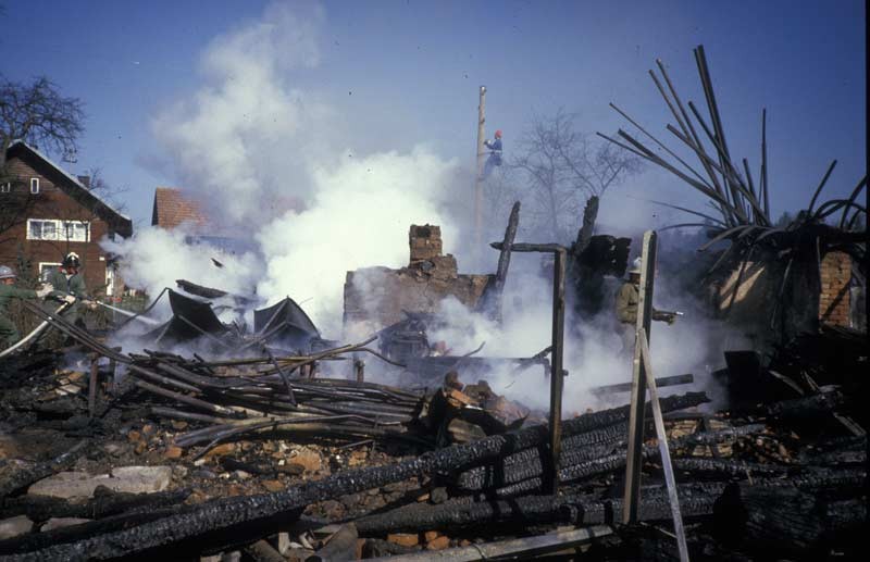 194.jpg