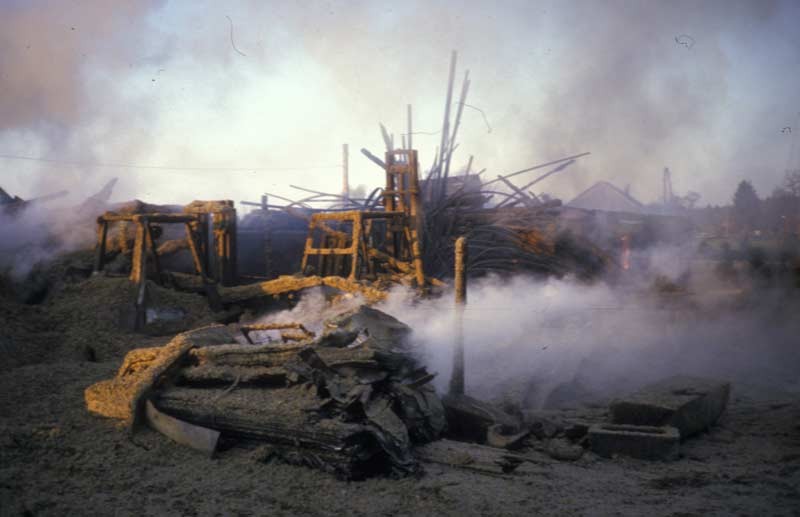 195.jpg