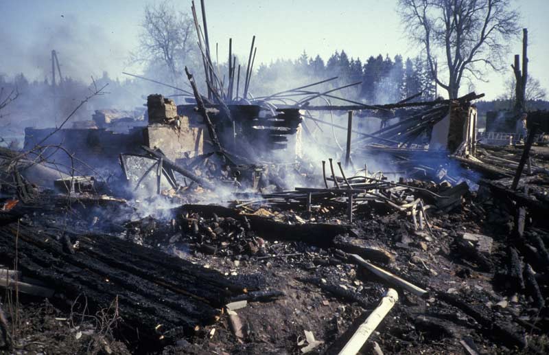 196.jpg