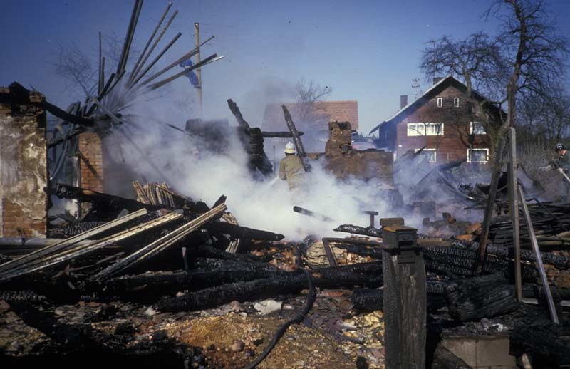 197.jpg