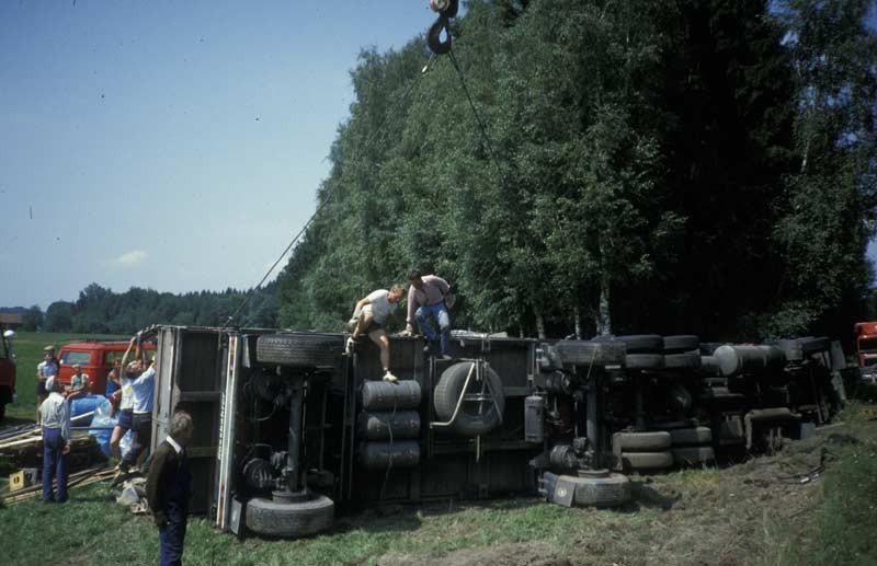 336.jpg
