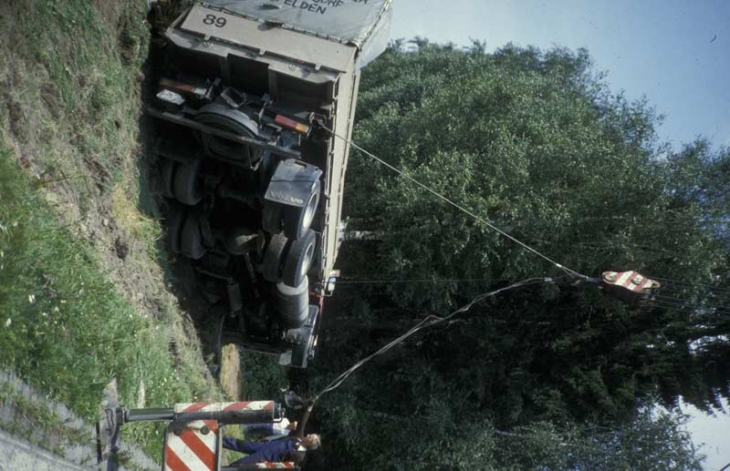 339.jpg
