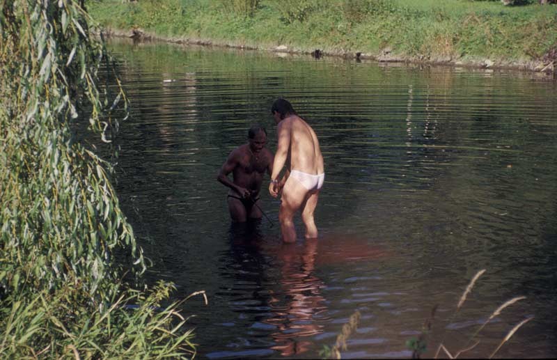 356.jpg