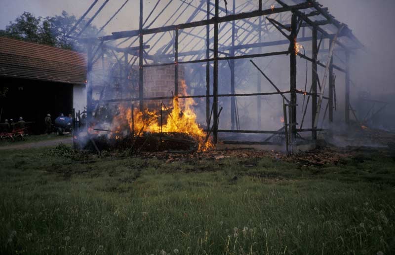 515.jpg