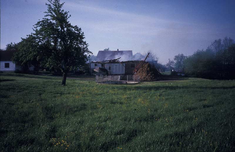 815.jpg