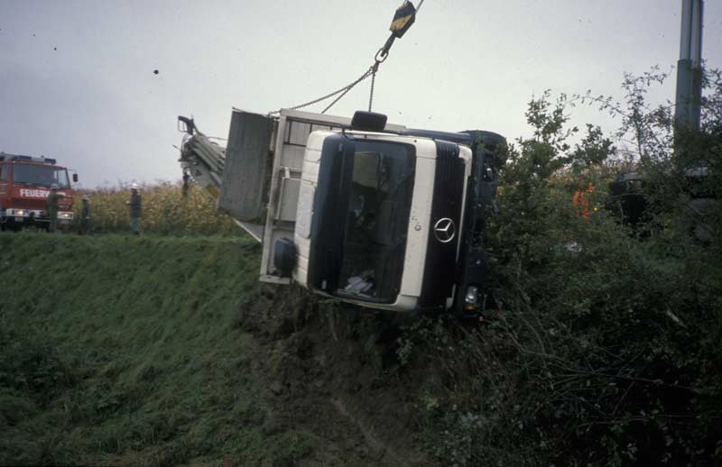 919.jpg