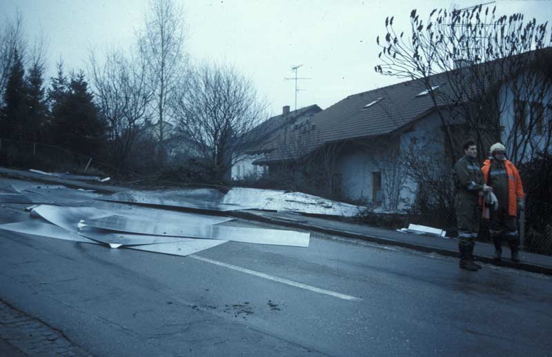 2356.jpg