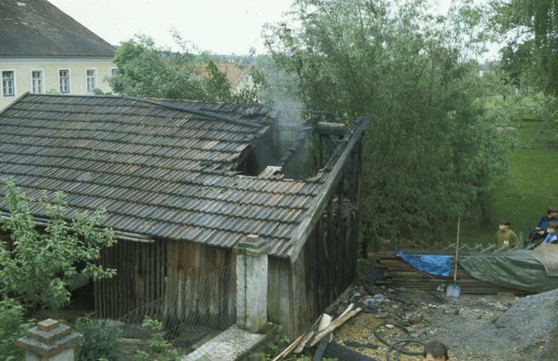 2429.jpg