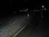 IMG_1050.jpg