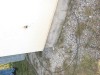 IMG_1259.jpg