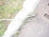 IMG_1261.jpg