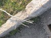 IMG_1262.jpg