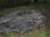 IMG_1236.jpg
