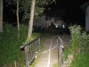 IMG_1407.jpg
