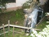 IMG_1415.jpg
