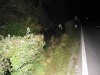 IMG_1432.jpg