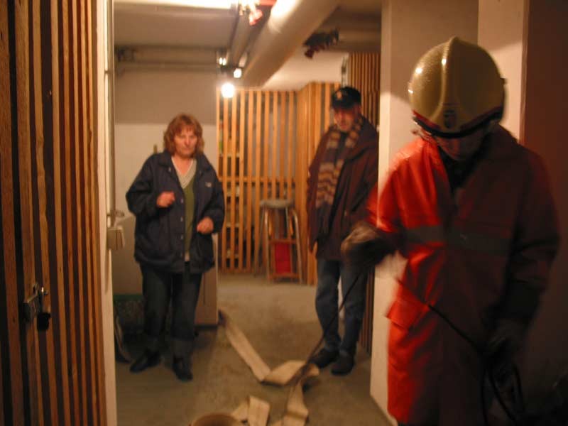 IMG_2380.jpg