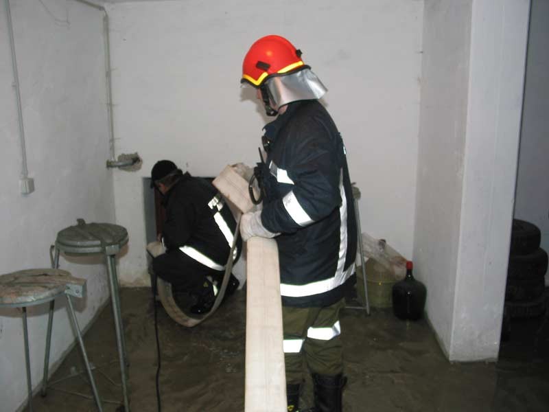IMG_2381.jpg