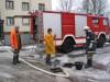 IMG_2391.jpg
