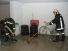 IMG_2393.jpg