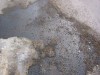 IMG_0007.jpg