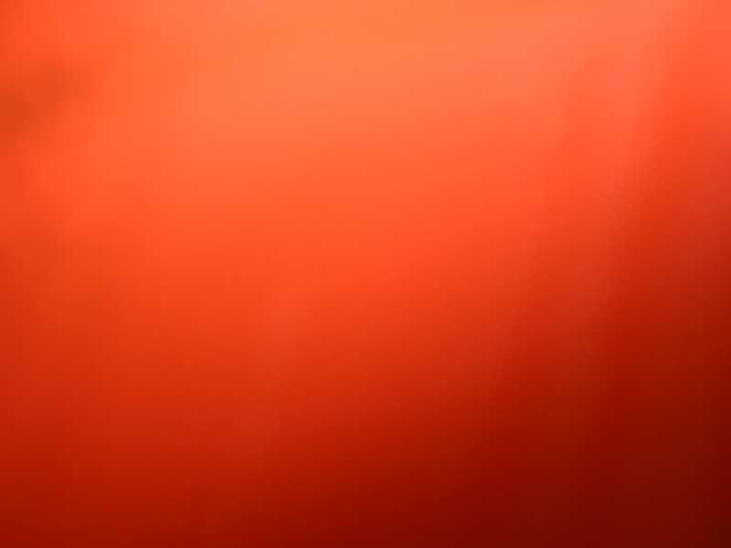 IMG_0007.jpg