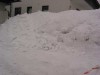 IMG_0081.jpg
