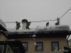 PICT0459.jpg