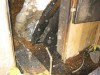 IMG_0124.jpg