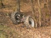 IMG_0213.jpg