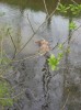 IMG_0322.jpg