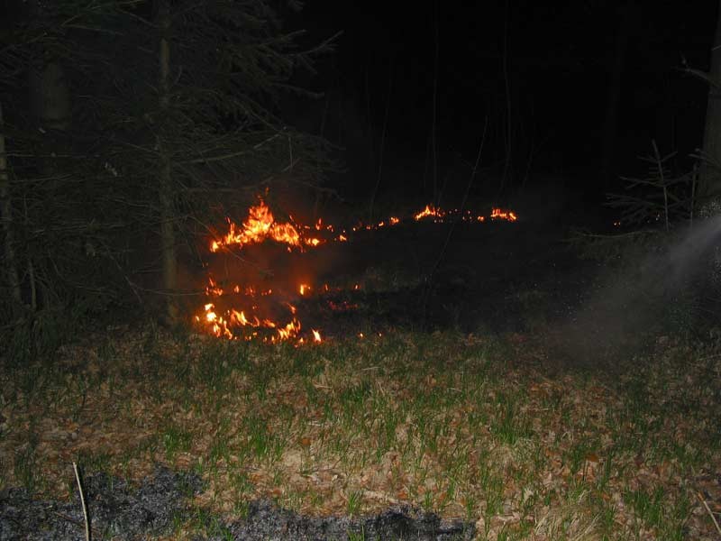 104-0439_IMG.jpg