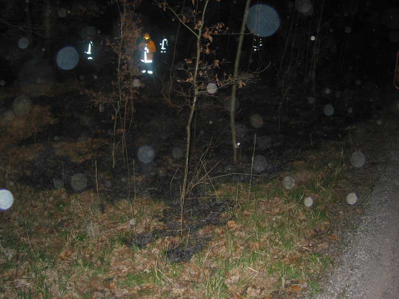 104-0446_IMG.jpg