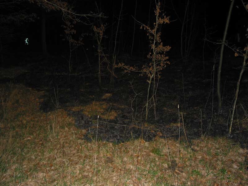 104-0449_IMG.jpg