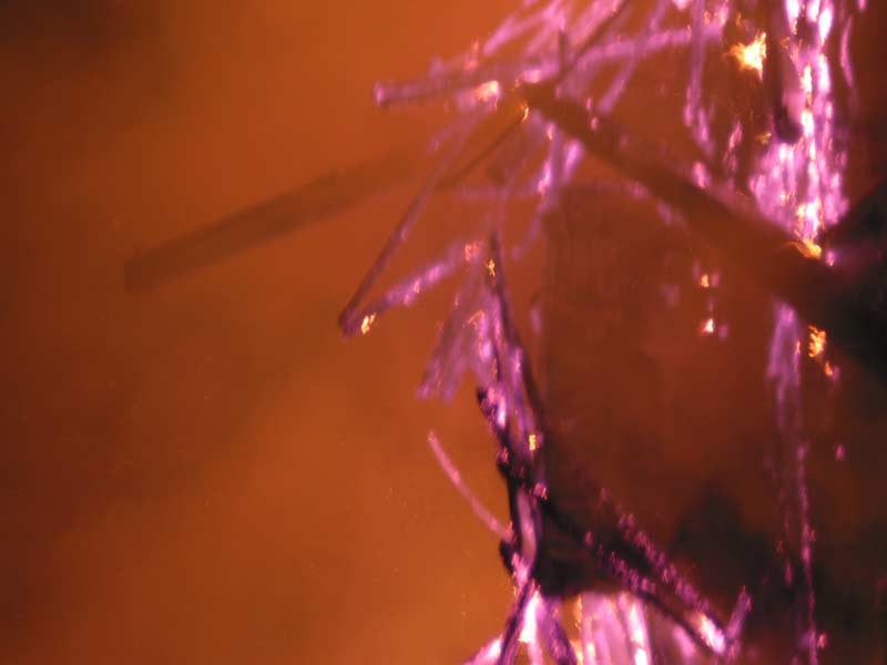 104-0482_IMG.jpg