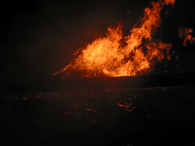 104-0488_IMG.jpg