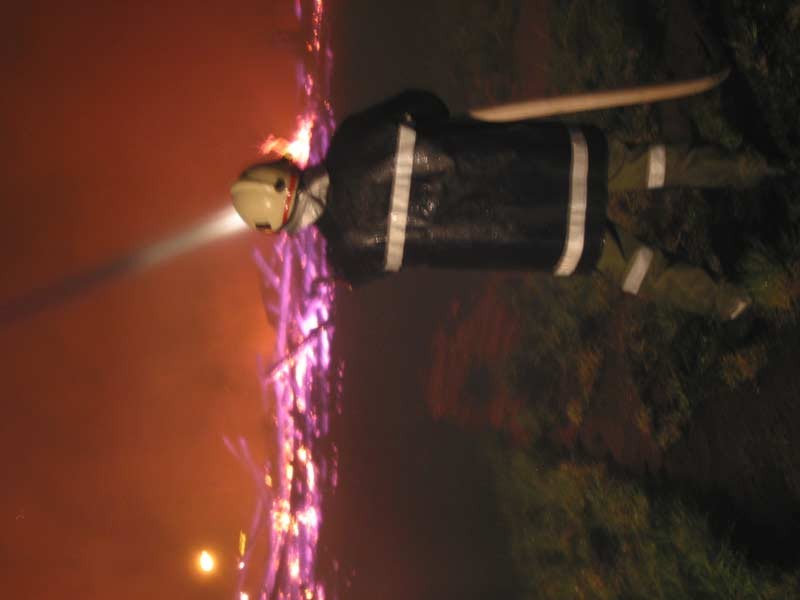 104-0493_IMG.jpg