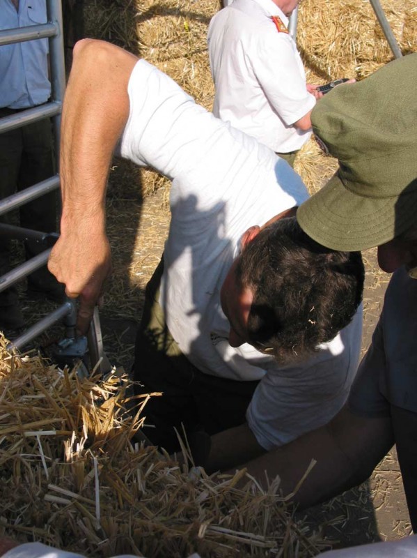 109-0993_IMG.jpg