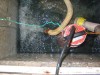 111-1133_IMG.jpg