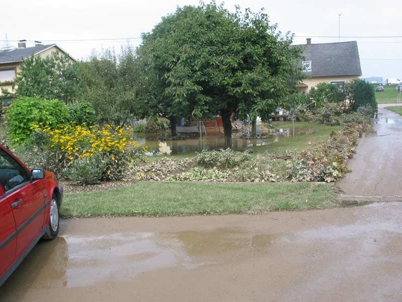 112-1216_IMG.jpg