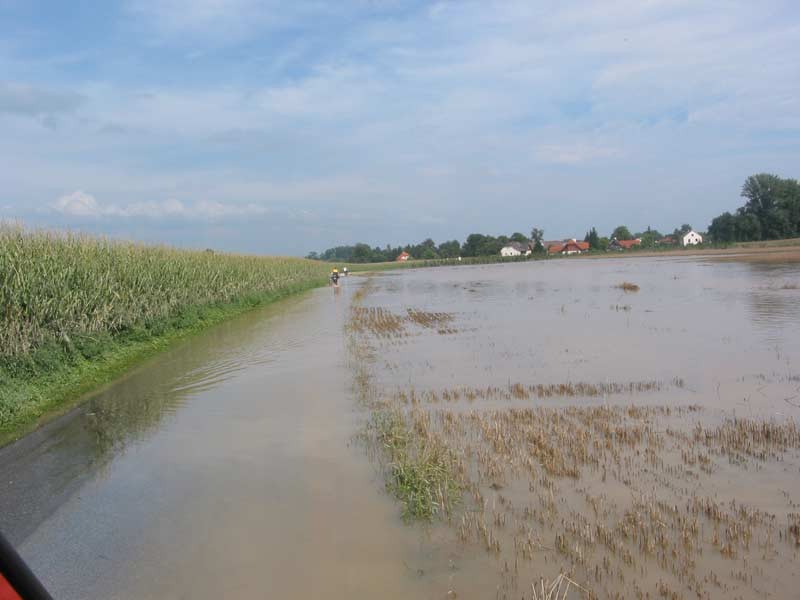 112-1236_IMG.jpg