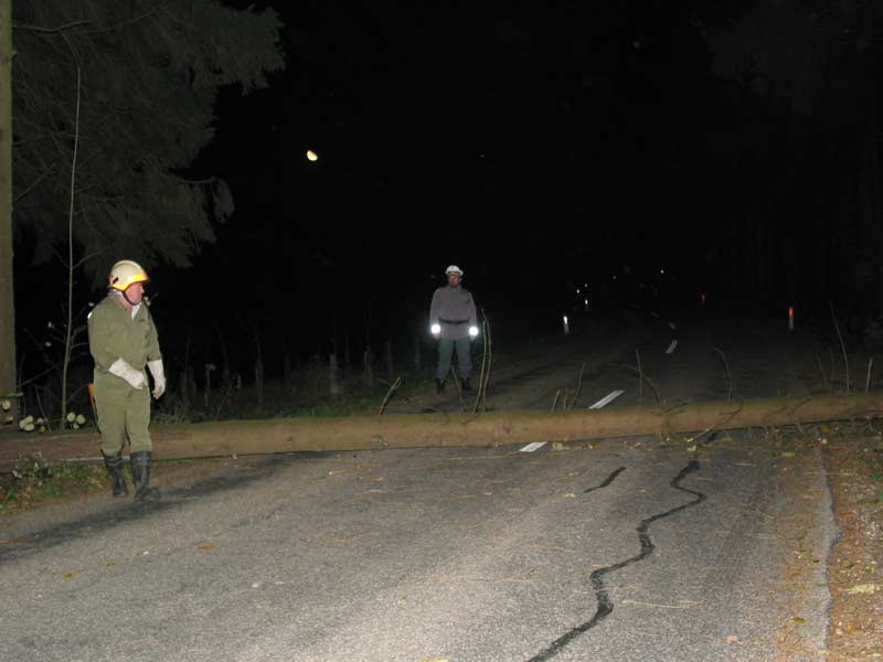 117-1737_IMG.jpg