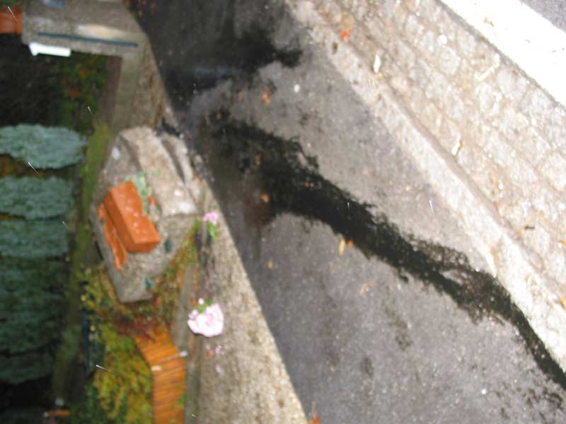 117-1758_IMG.jpg