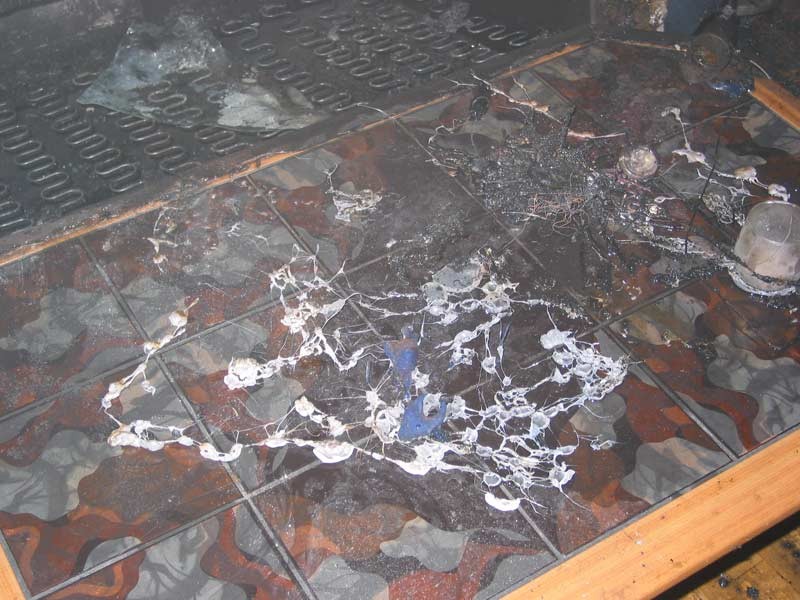 121-2108_IMG.jpg