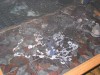 121-2108_IMG.jpg