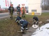 122-2224_IMG.jpg