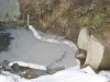 122-2232_IMG.jpg