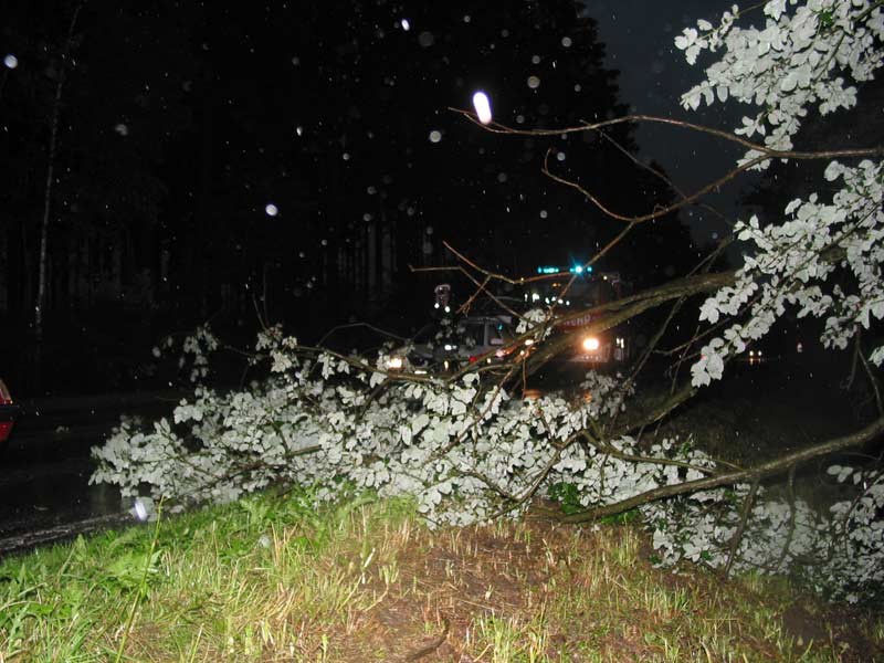 100-0037_IMG.jpg
