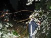 100-0006_IMG.jpg